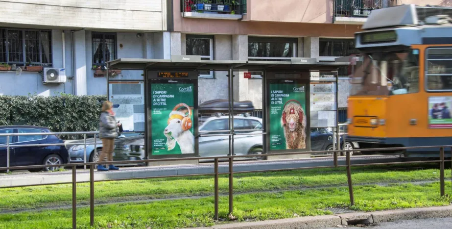IGPDecaux IGPDecaux